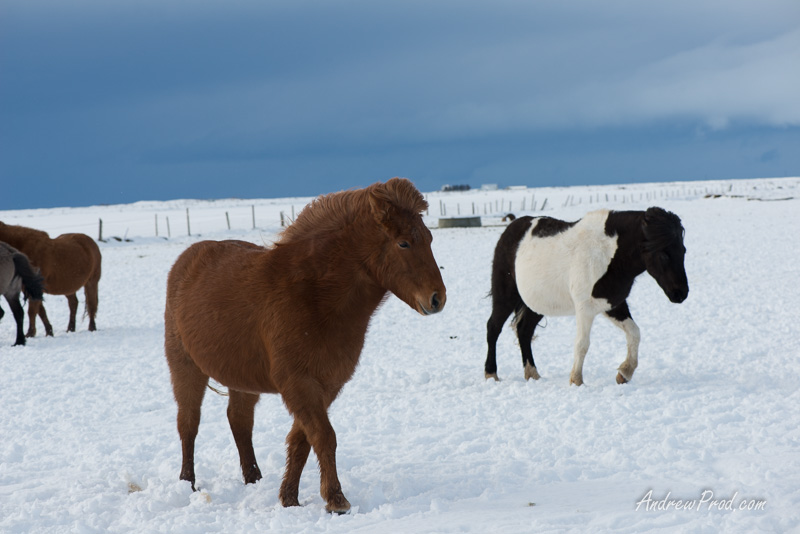 Travel Photographer Iceland-18