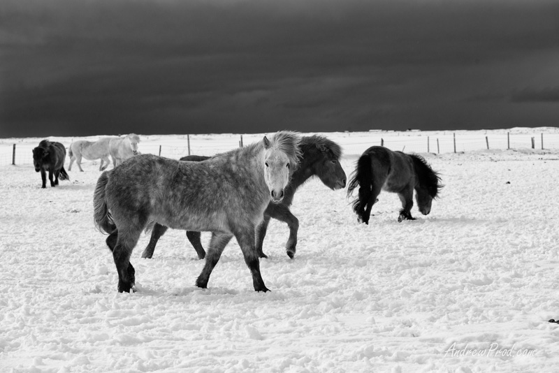 Travel Photographer Iceland-19