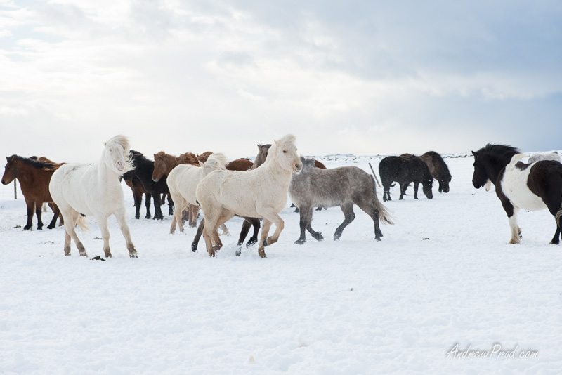 Travel Photographer Iceland-22